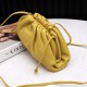 Bottega Veneta Pouch
