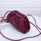 Bottega Veneta Pouch