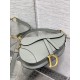 Dior Saddle