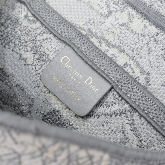 Dior Saddle