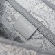 Dior Saddle
