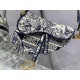 Dior Saddle
