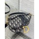 Dior Saddle