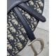 Dior Saddle