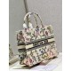 Dior Book Tote