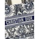Dior Book Tote
