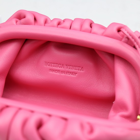 Bottega Veneta Pouch