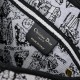 Dior Saddle