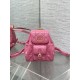 Dior Caro