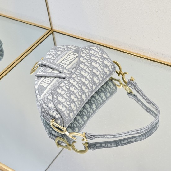Dior Saddle