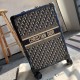 Dior Suitcase