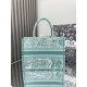 Dior Book Tote