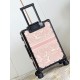 Dior Suitcase