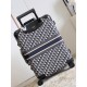 Dior Suitcase