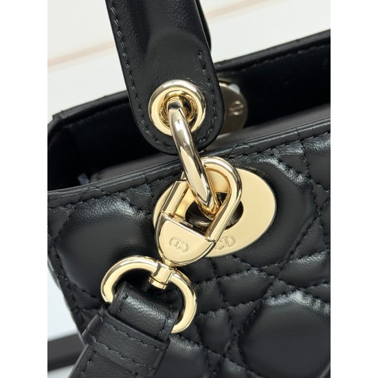 Dior Lady