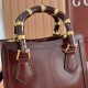 Gucci Diana