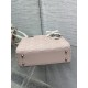 Dior Lady