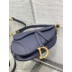 Dior Saddle