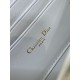Dior Caro