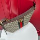 Gucci Ophidia