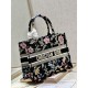 Dior Book Tote