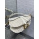 Dior Saddle