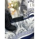 Dior Book Tote