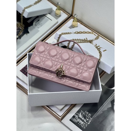 Dior Lady