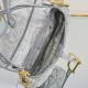 Dior Saddle