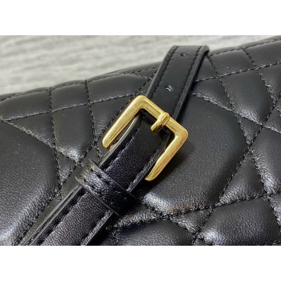 Dior Caro