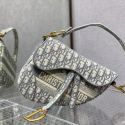 Dior Saddle