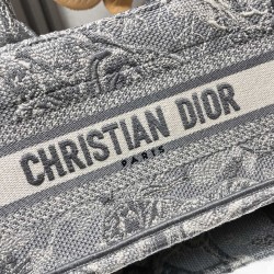 Dior Book Tote