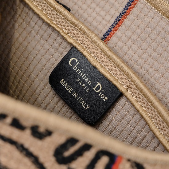 Dior Saddle