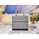 Dior Book Tote
