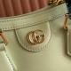 Gucci Diana