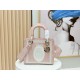 Dior Lady