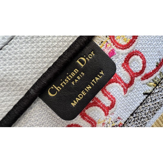 Dior Book Tote