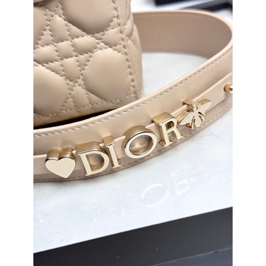 Dior Lady