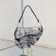 Dior Saddle