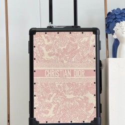 Dior Suitcase