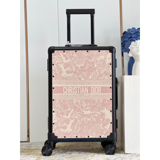 Dior Suitcase