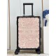 Dior Suitcase