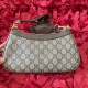 Gucci Ophidia
