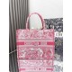 Dior Book Tote