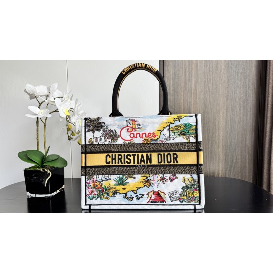 Dior Book Tote