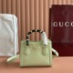 Gucci Diana