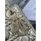 Dior Lady