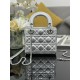Dior Lady