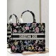 Dior Book Tote