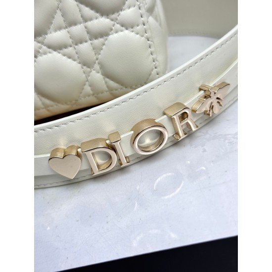 Dior Lady